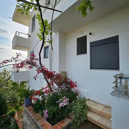 Nora's Sarande