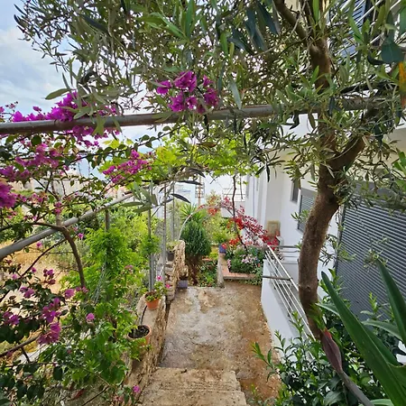 Nora's Sarande